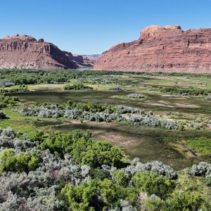 Moab-West-3